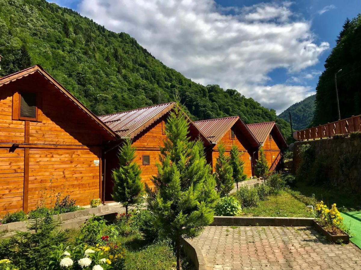 Tuva Villa Bungalov Çamlıhemşin Екстериор снимка