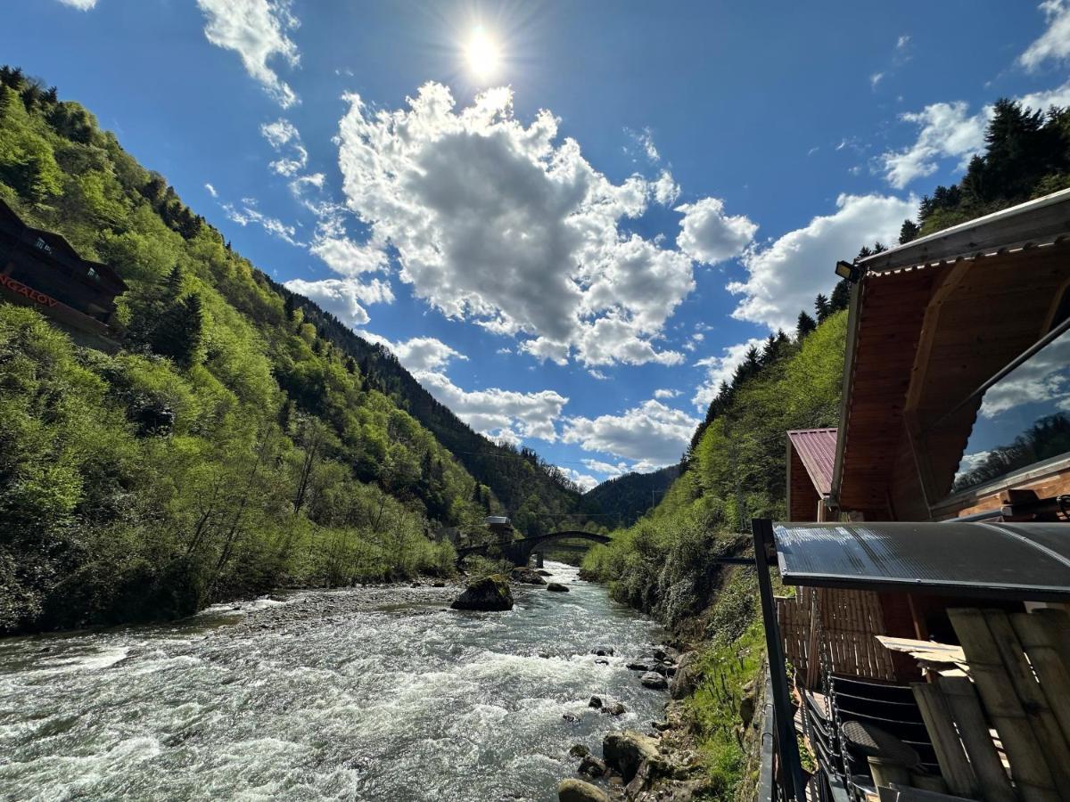 Tuva Villa Bungalov Çamlıhemşin Екстериор снимка