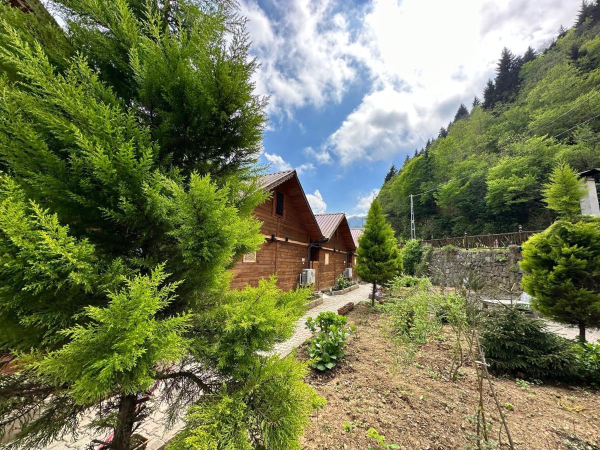 Tuva Villa Bungalov Çamlıhemşin Екстериор снимка